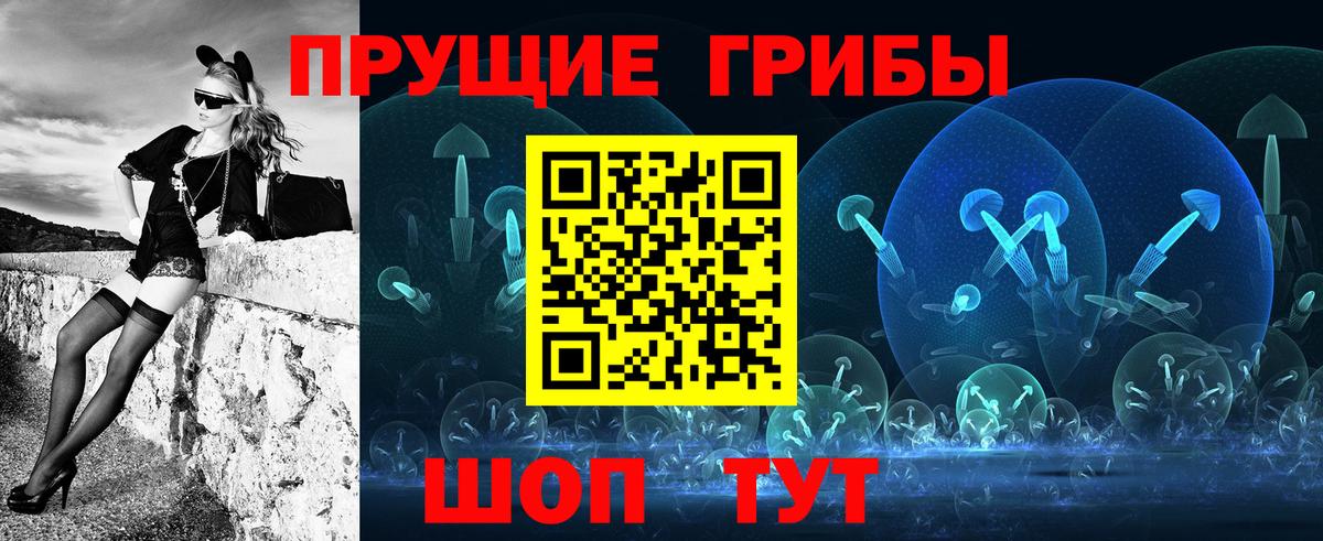Псилоцибиновые грибы GOLDEN TEACHER  где купить наркоту  Серов  Вход с VPN  Галлюциногенные грибы MAGIC MUSHROOMS 